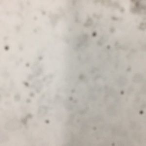 Meet your Posher, Ralph jacobs